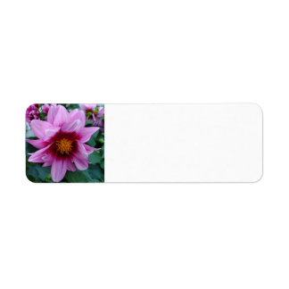 Dahlia Returadress Etikett