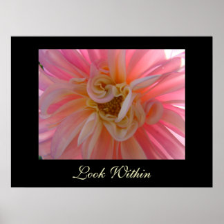 Dahlia Rosa Kontorskonst Titta Inuti Trädgårdskons Poster