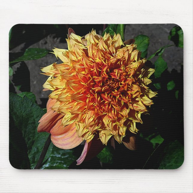 Dahlia Sandia Brocade #1 Mouse Pad Musmatta (Framsidan)
