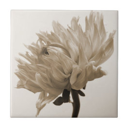 Dahlia sepia print kakelplatta