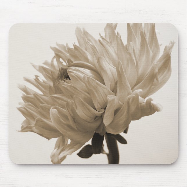 Dahlia sepia print musmatta (Framsidan)