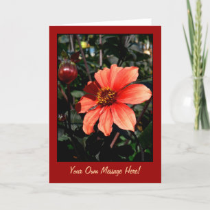 Dahlia Tack Kort