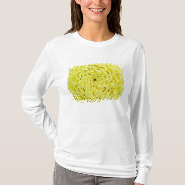 Dahlia Tee Shirt (Framsida)