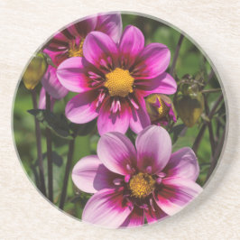 Dahlia Trio Underlägg Sandsten