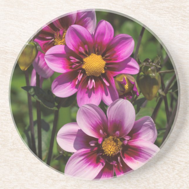 Dahlia Trio Underlägg Sandsten (Framsidan)