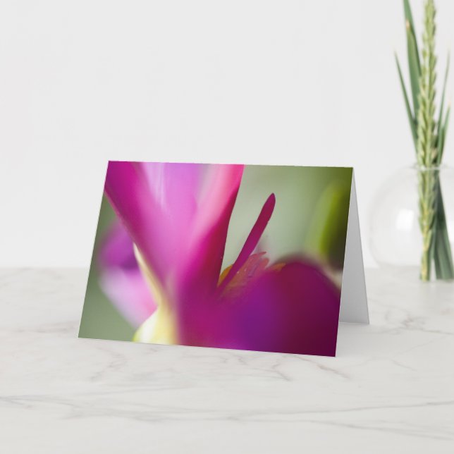 Dahlia upp nära hälsningkort kort (Framsida)