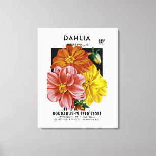 Dahlia Vintage Seed Packet Canvastryck