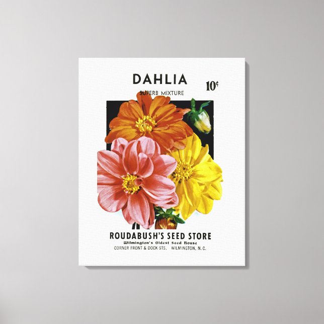 Dahlia Vintage Seed Packet Canvastryck (Framsida)