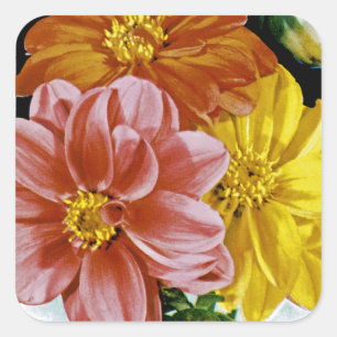Dahlia Vintage Seed Packet Fyrkantigt Klistermärke