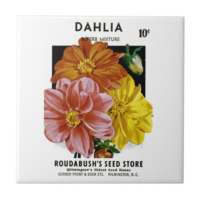 Dahlia Vintage Seed Packet Kakelplatta (Framsidan)