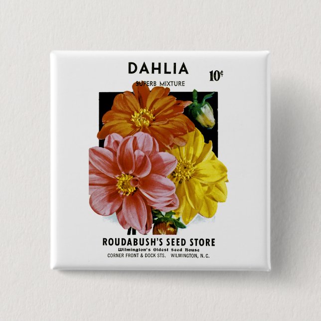 Dahlia Vintage Seed Packet Knapp (Framsida)