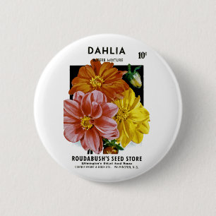 Dahlia Vintage Seed Packet Knapp