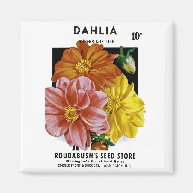 Dahlia Vintage Seed Packet Magnet (Framsidan)
