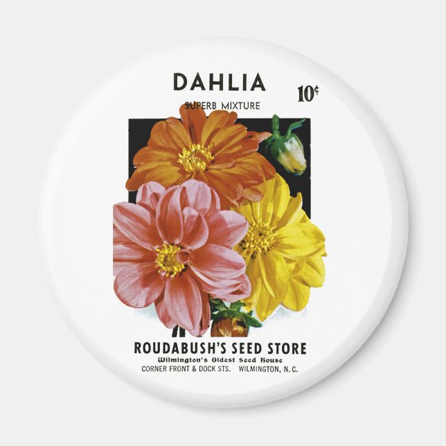 Dahlia Vintage Seed Packet Magnet (Framsidan)