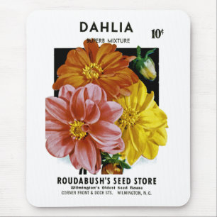 Dahlia Vintage Seed Packet Musmatta