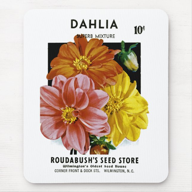 Dahlia Vintage Seed Packet Musmatta (Framsidan)