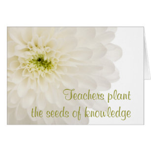 Dahlia White Flower Teacher Hälsningskort