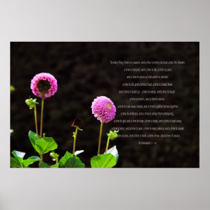 Dahlia with Ecclesiastes Verses Poster