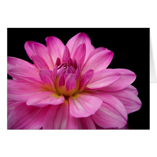 DahliaFigurine OBS Kort (Framsidan Horizontal)