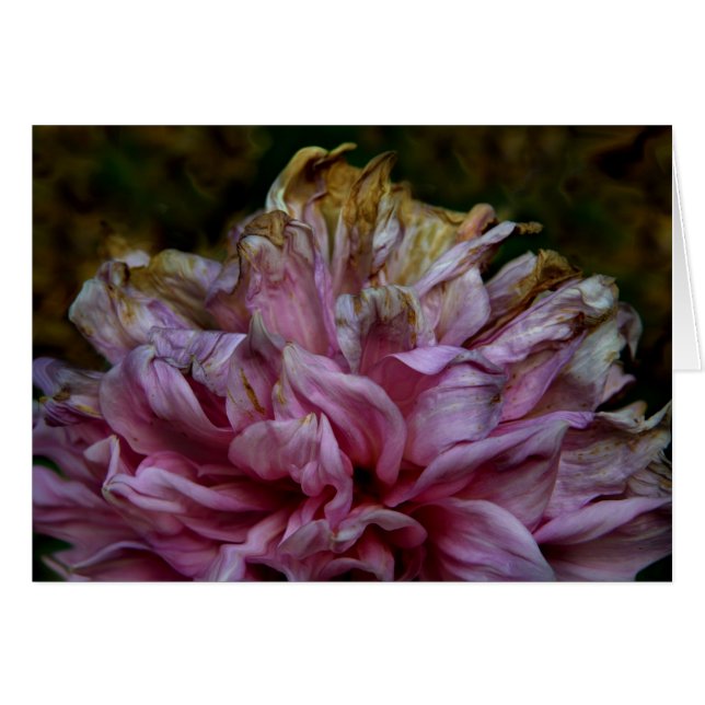 Dahliapast Hälsningskort (Framsidan Horizontal)