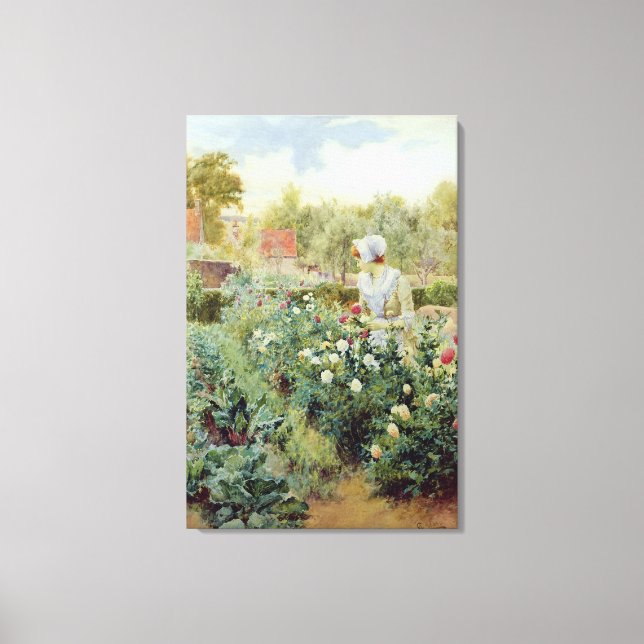 Dahlias 1896 canvastryck (Framsida)