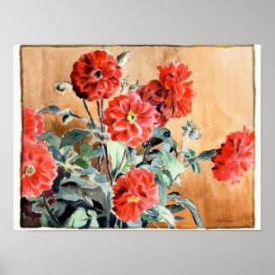 Dahlias, botanisk vattenfärgsmålning poster