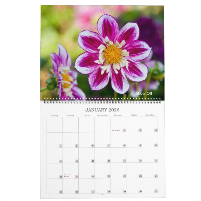 Dahlias Kalender (Jan 2026)