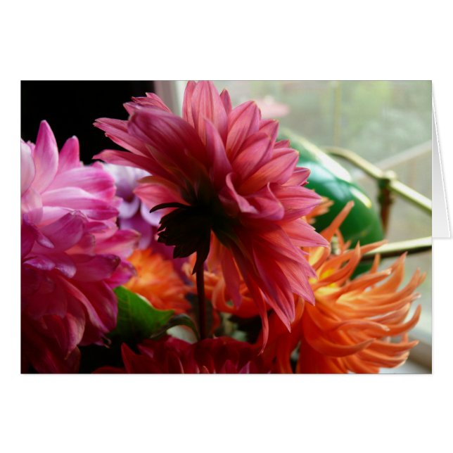 Dahlias (med lampa) hälsningskort (Framsidan Horizontal)