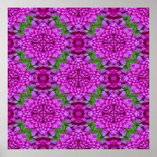 Dahlias... Poster