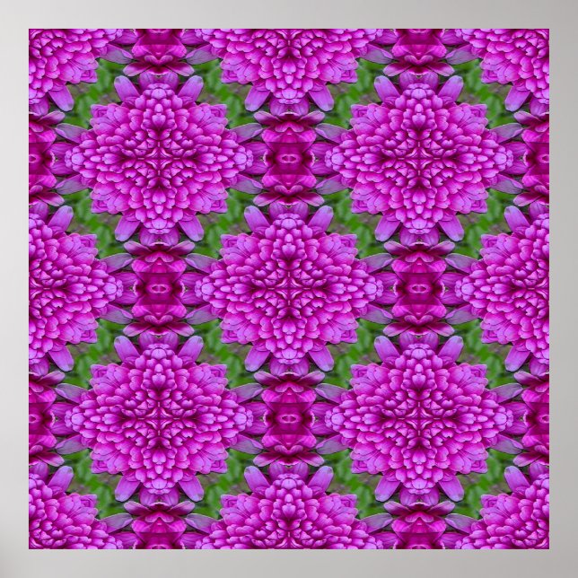 Dahlias... Poster (Framsidan)