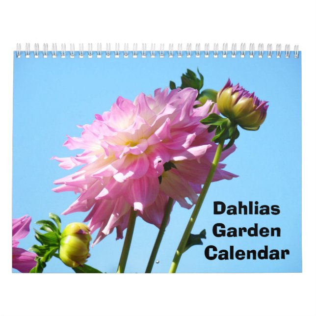 Dahlias Trädgårdskalender Fotografi Blommor Kalender (Omslag)