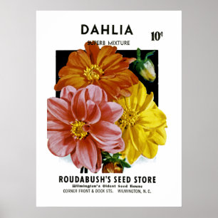 Dahliavintage kärnar ur paketet poster