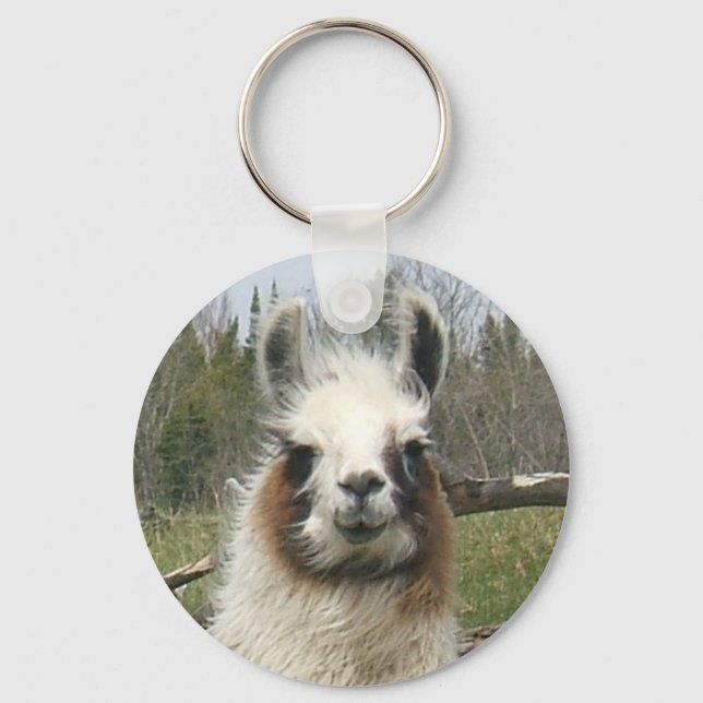DAILY LLAMA NYCKELRING (Framsida)