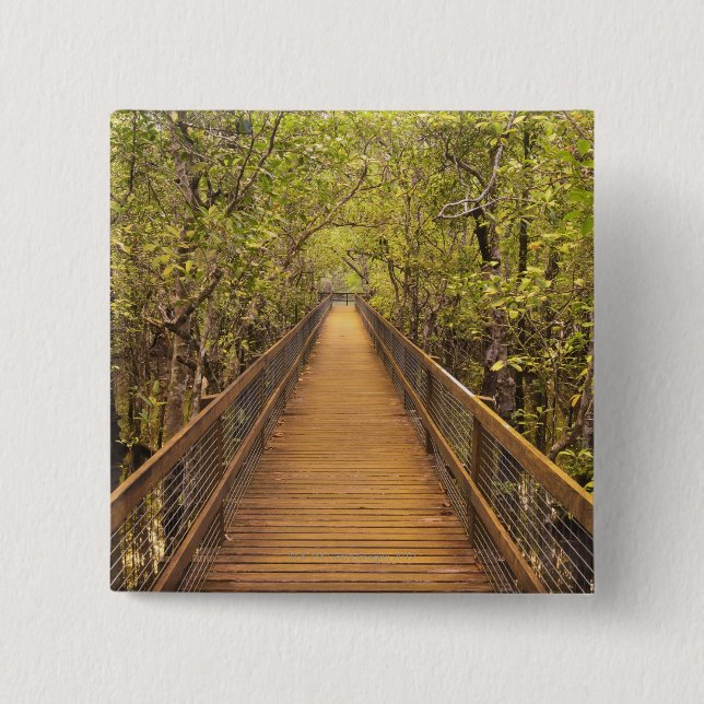 Daintree nationalpark (UNESCO-världsarv Knapp (Framsida)