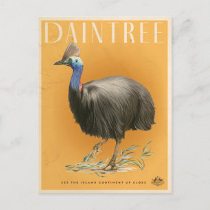 Daintree Rainforest Cassowary Postcard Vykort