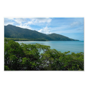 Daintree Rainforest vid Cape Tribulation Fototryck