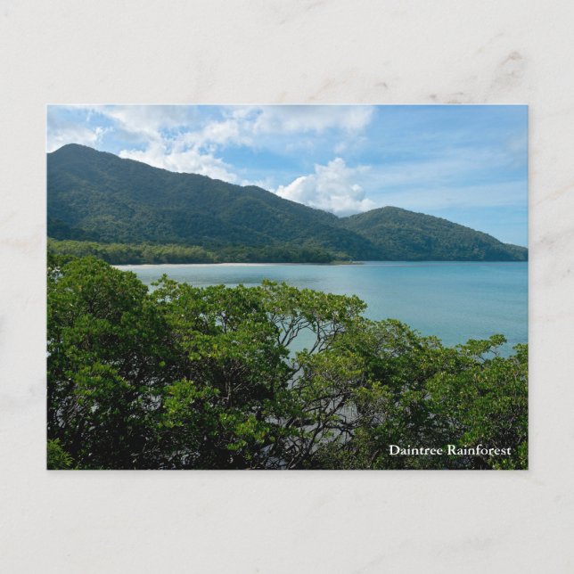 Daintree Rainforest vid Cape Tribulation Helg Vykort (Framsida)