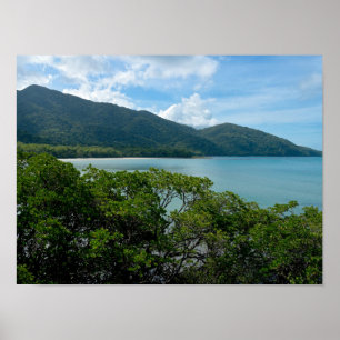 Daintree Rainforest vid Cape Tribulation Poster