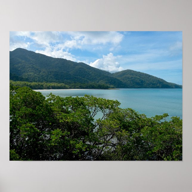 Daintree Rainforest vid Cape Tribulation Poster (Framsidan)