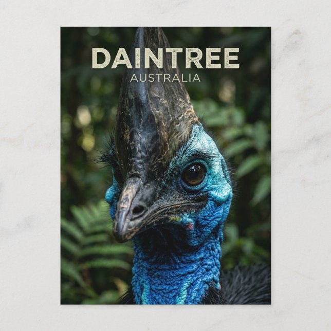 Daintree regnskog Australien Vykort (Framsida)