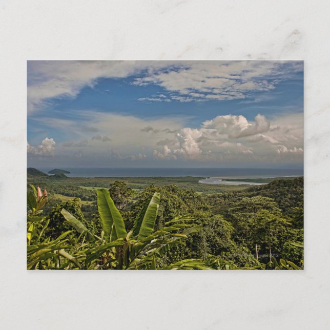 Daintree River i regnskogen i Vykort (Framsida)