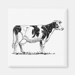 Dairy Cow Holstein Fresian Pencil Teckning Magnet