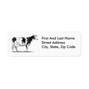 Dairy Cow Holstein Fresian Pencil Teckning Returadress Etikett