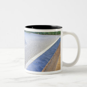 Daisen-in Temple Garden, Daitokuji, Kyoto, Japan Två-Tonad Mugg