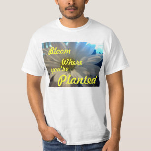 "DAISEY-BLOM VAR DU PLANTERAS ", TEE