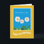 Daisies April Birthday Card for Sister in law Kort<br><div class="desc">Ett roligt födelsedagskort för en syster-in-law,  med tre vita daisier på en Sky Blue-bakgrund. En del av "Daisy Chain"-samlingen Posh & Painterly.</div>