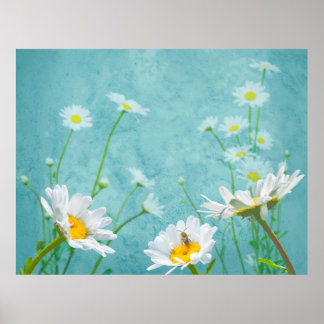 Daisies on a blue background poster