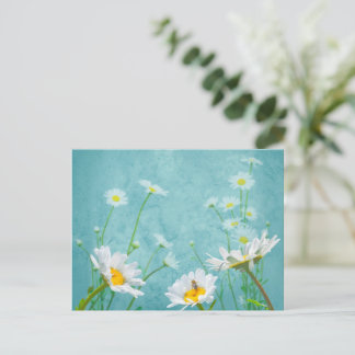 Daisies on a blue background vykort