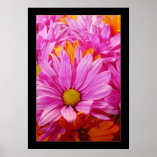 Daisies Poster