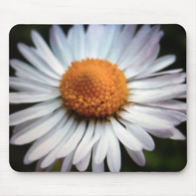 Daisy 1 Mousepad Musmatta (Framsidan)